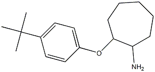 2-(4-tert-butylphenoxy)cycloheptan-1-amine Struktur