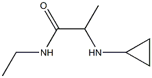 2-(cyclopropylamino)-N-ethylpropanamide,,结构式