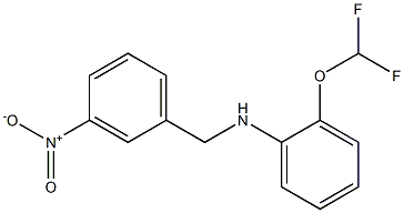 2-(difluoromethoxy)-N-[(3-nitrophenyl)methyl]aniline Structure