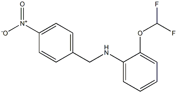 2-(difluoromethoxy)-N-[(4-nitrophenyl)methyl]aniline 结构式