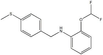 2-(difluoromethoxy)-N-{[4-(methylsulfanyl)phenyl]methyl}aniline|