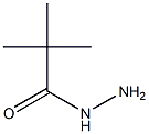 2,2-dimethylpropanohydrazide