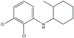 2,3-dichloro-N-(2-methylcyclohexyl)aniline 化学構造式