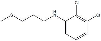 2,3-dichloro-N-[3-(methylsulfanyl)propyl]aniline Struktur