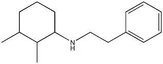 2,3-dimethyl-N-(2-phenylethyl)cyclohexan-1-amine|