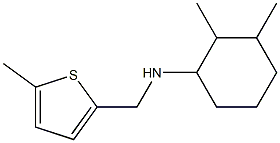 2,3-dimethyl-N-[(5-methylthiophen-2-yl)methyl]cyclohexan-1-amine Structure