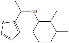 2,3-dimethyl-N-[1-(thiophen-2-yl)ethyl]cyclohexan-1-amine|