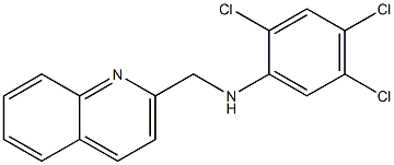 2,4,5-trichloro-N-(quinolin-2-ylmethyl)aniline Structure