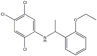  2,4,5-trichloro-N-[1-(2-ethoxyphenyl)ethyl]aniline