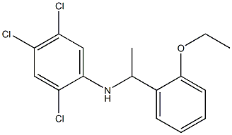 2,4,5-trichloro-N-[1-(2-ethoxyphenyl)ethyl]aniline Structure