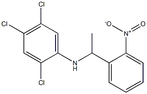 2,4,5-trichloro-N-[1-(2-nitrophenyl)ethyl]aniline|