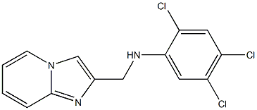 2,4,5-trichloro-N-{imidazo[1,2-a]pyridin-2-ylmethyl}aniline 结构式