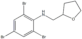 2,4,6-tribromo-N-(oxolan-2-ylmethyl)aniline 化学構造式