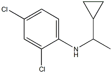 2,4-dichloro-N-(1-cyclopropylethyl)aniline 结构式