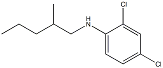 2,4-dichloro-N-(2-methylpentyl)aniline Structure