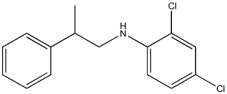 2,4-dichloro-N-(2-phenylpropyl)aniline Structure