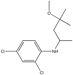 2,4-dichloro-N-(4-methoxy-4-methylpentan-2-yl)aniline Struktur