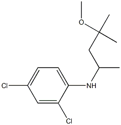 2,4-dichloro-N-(4-methoxy-4-methylpentan-2-yl)aniline 化学構造式