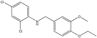 2,4-dichloro-N-[(4-ethoxy-3-methoxyphenyl)methyl]aniline