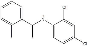 2,4-dichloro-N-[1-(2-methylphenyl)ethyl]aniline