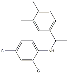 2,4-dichloro-N-[1-(3,4-dimethylphenyl)ethyl]aniline Structure