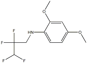 2,4-dimethoxy-N-(2,2,3,3-tetrafluoropropyl)aniline 化学構造式