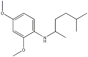 2,4-dimethoxy-N-(5-methylhexan-2-yl)aniline,,结构式