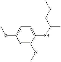2,4-dimethoxy-N-(pentan-2-yl)aniline Struktur