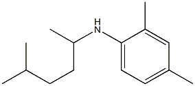 2,4-dimethyl-N-(5-methylhexan-2-yl)aniline