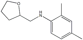 2,4-dimethyl-N-(oxolan-2-ylmethyl)aniline