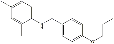 2,4-dimethyl-N-[(4-propoxyphenyl)methyl]aniline