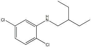 2,5-dichloro-N-(2-ethylbutyl)aniline,,结构式