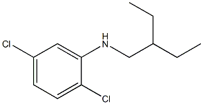 2,5-dichloro-N-(2-ethylbutyl)aniline 化学構造式