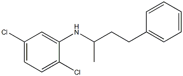 2,5-dichloro-N-(4-phenylbutan-2-yl)aniline,,结构式