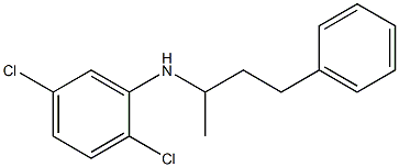  2,5-dichloro-N-(4-phenylbutan-2-yl)aniline