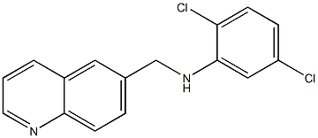 2,5-dichloro-N-(quinolin-6-ylmethyl)aniline,,结构式