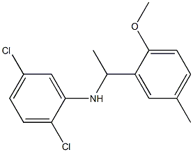 2,5-dichloro-N-[1-(2-methoxy-5-methylphenyl)ethyl]aniline Structure