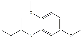 2,5-dimethoxy-N-(3-methylbutan-2-yl)aniline,,结构式