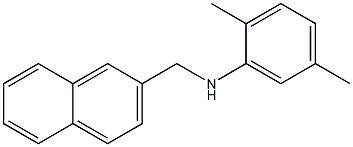 2,5-dimethyl-N-(naphthalen-2-ylmethyl)aniline,,结构式