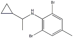 2,6-dibromo-N-(1-cyclopropylethyl)-4-methylaniline 结构式