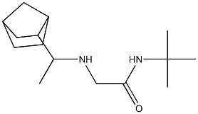 2-[(1-{bicyclo[2.2.1]heptan-2-yl}ethyl)amino]-N-tert-butylacetamide