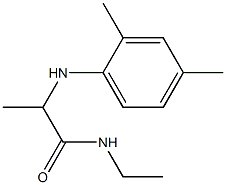 2-[(2,4-dimethylphenyl)amino]-N-ethylpropanamide