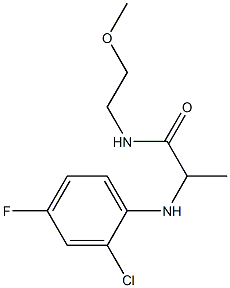 2-[(2-chloro-4-fluorophenyl)amino]-N-(2-methoxyethyl)propanamide|