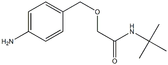 2-[(4-aminophenyl)methoxy]-N-tert-butylacetamide 化学構造式