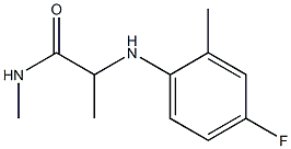 2-[(4-fluoro-2-methylphenyl)amino]-N-methylpropanamide Structure