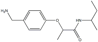 2-[4-(aminomethyl)phenoxy]-N-(butan-2-yl)propanamide