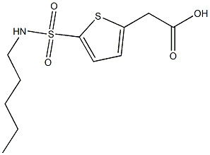 2-[5-(pentylsulfamoyl)thiophen-2-yl]acetic acid Struktur