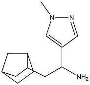 2-{bicyclo[2.2.1]heptan-2-yl}-1-(1-methyl-1H-pyrazol-4-yl)ethan-1-amine