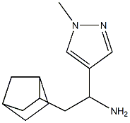  2-{bicyclo[2.2.1]heptan-2-yl}-1-(1-methyl-1H-pyrazol-4-yl)ethan-1-amine