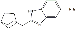2-{bicyclo[2.2.1]heptan-2-ylmethyl}-1H-1,3-benzodiazol-5-amine|